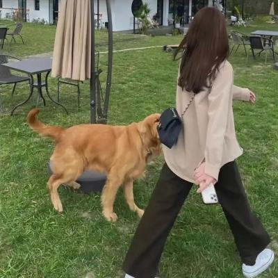 美人镖局